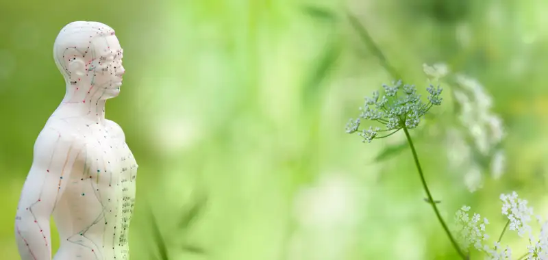 Die Energiepunkte des Menschen im Einklang mit der Natur